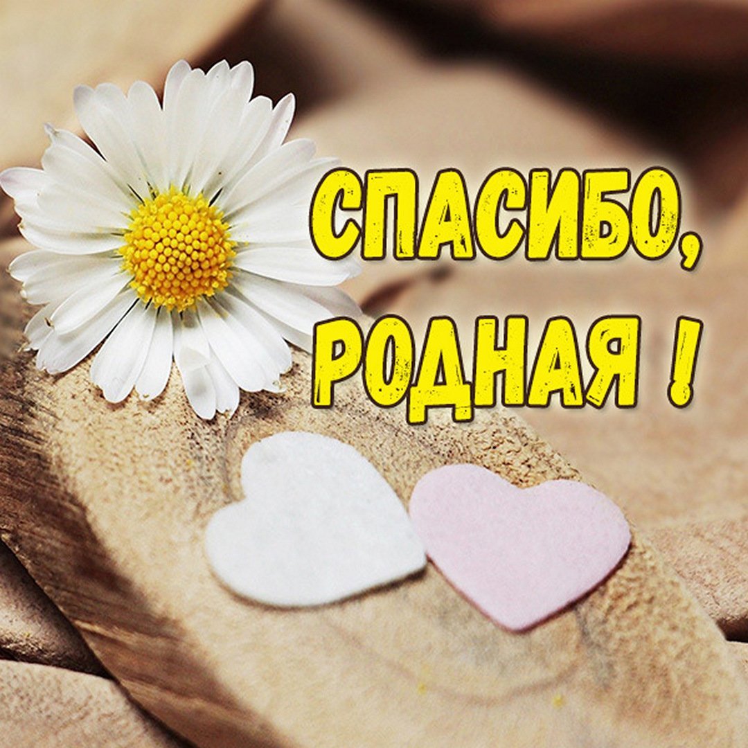 Спасибо любимому мужу