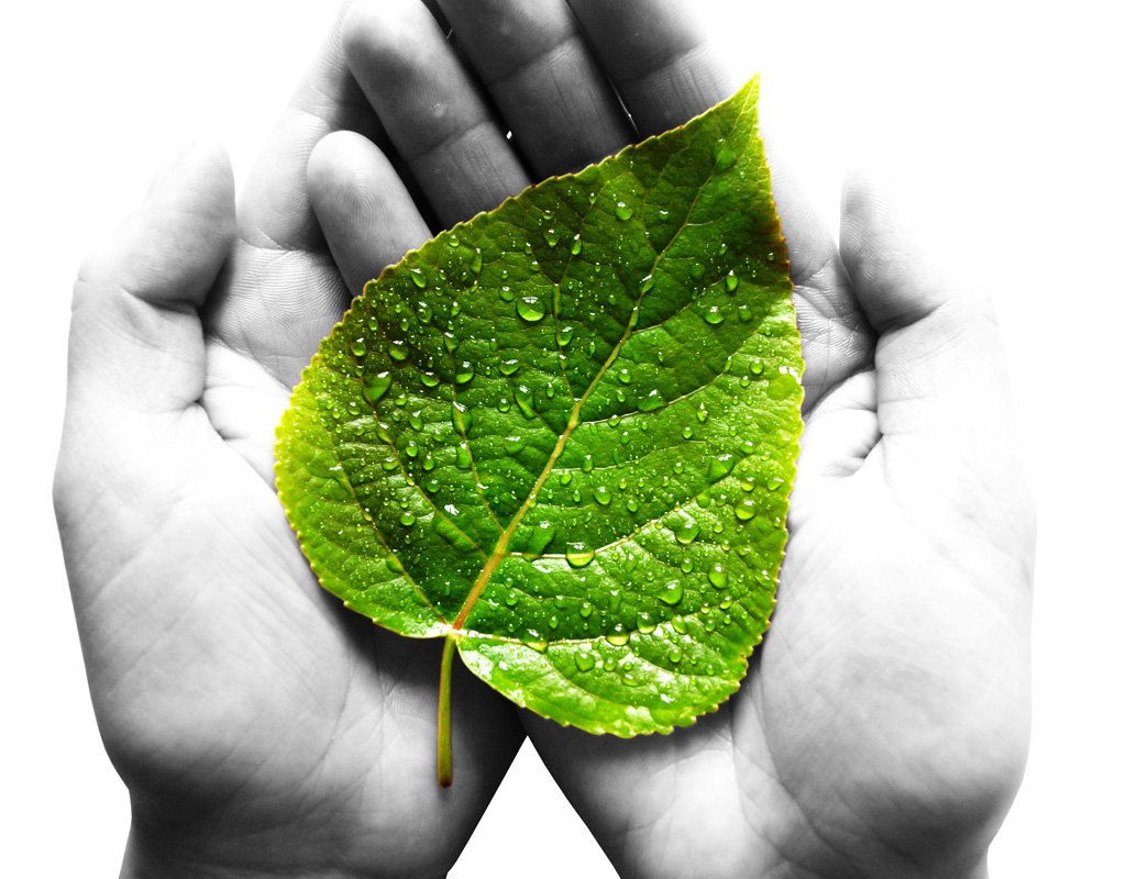 Защита окружающей среды