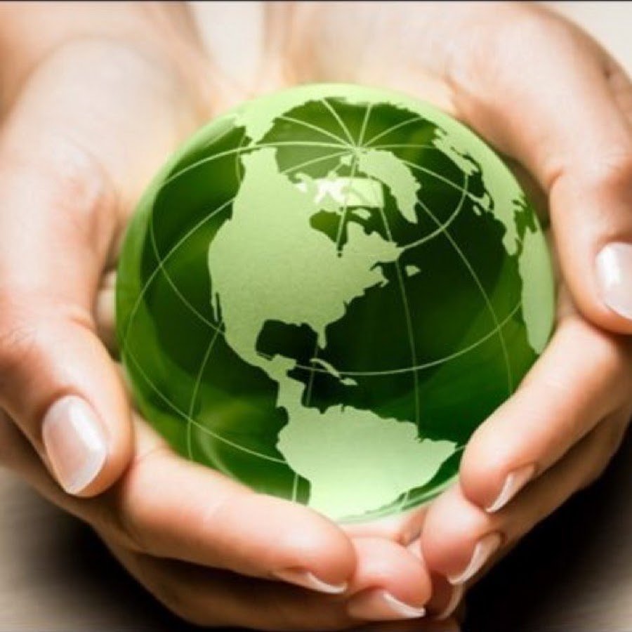 Экология земли