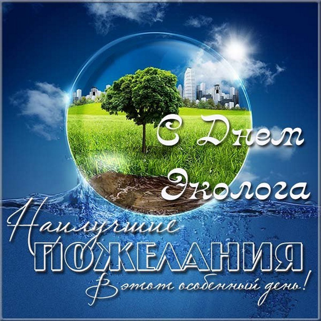 Экологические плакаты графических дизайнеров