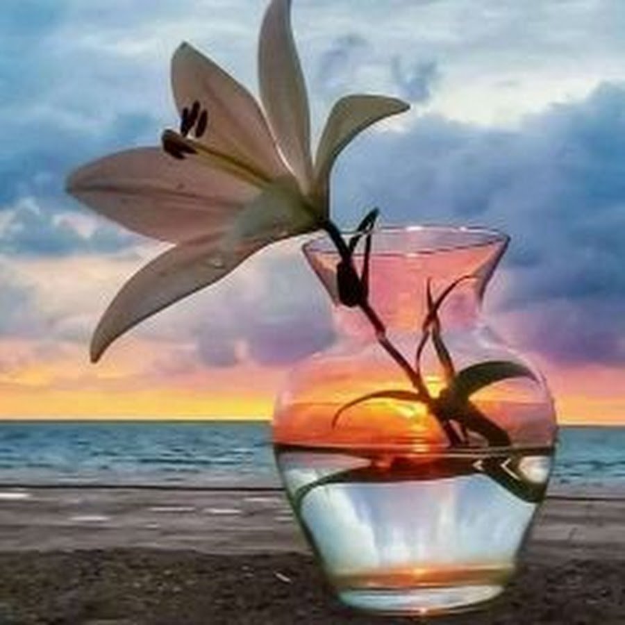 Добпого и уюиного вкчера