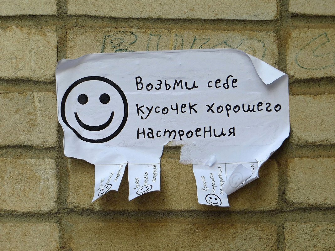 Смешные позитивные цитаты