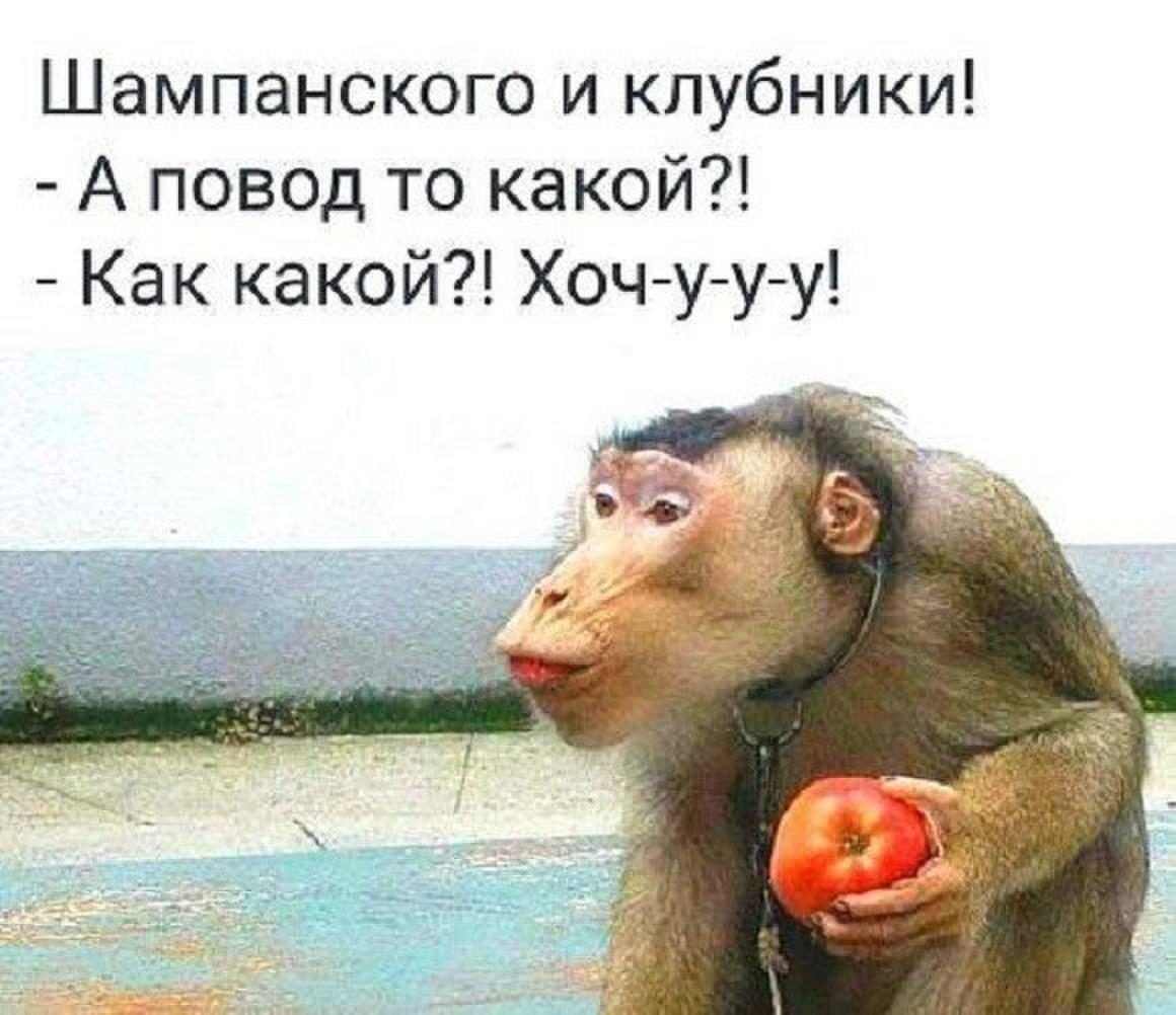 Прикольные высказывания в картинках