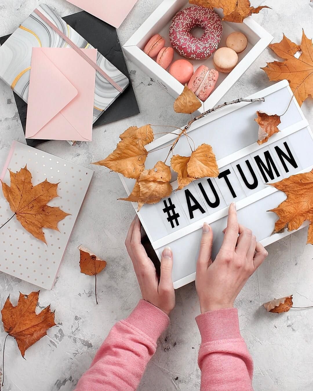 План мероприятий на осень