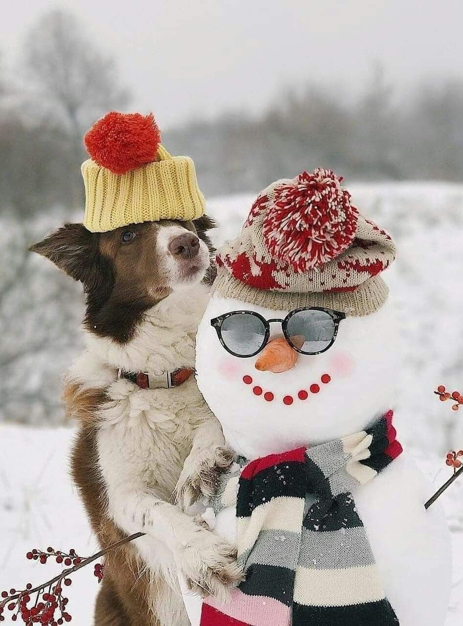 Доброе утро зима