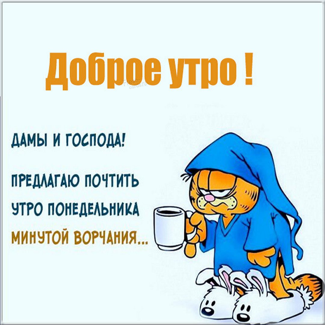 Утро понедельника