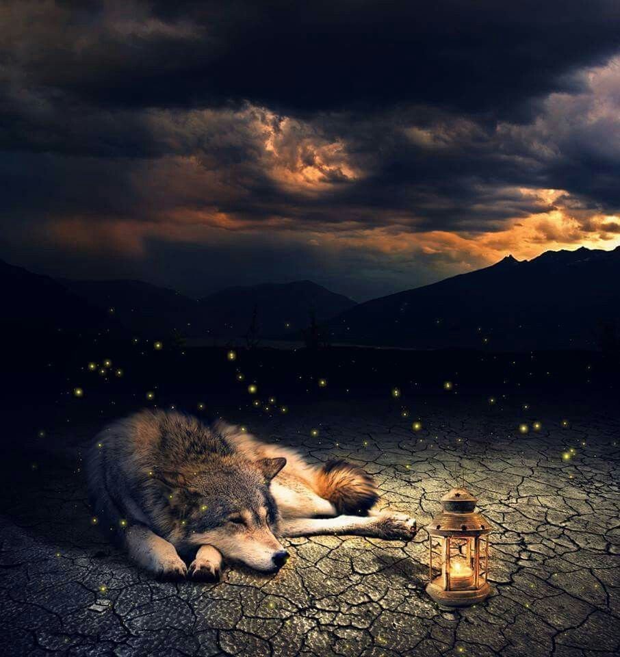 Самых сладких снов