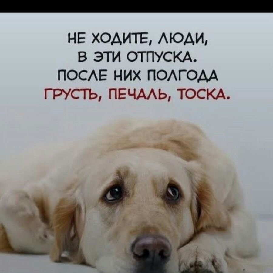 Скоро отпуск картинки