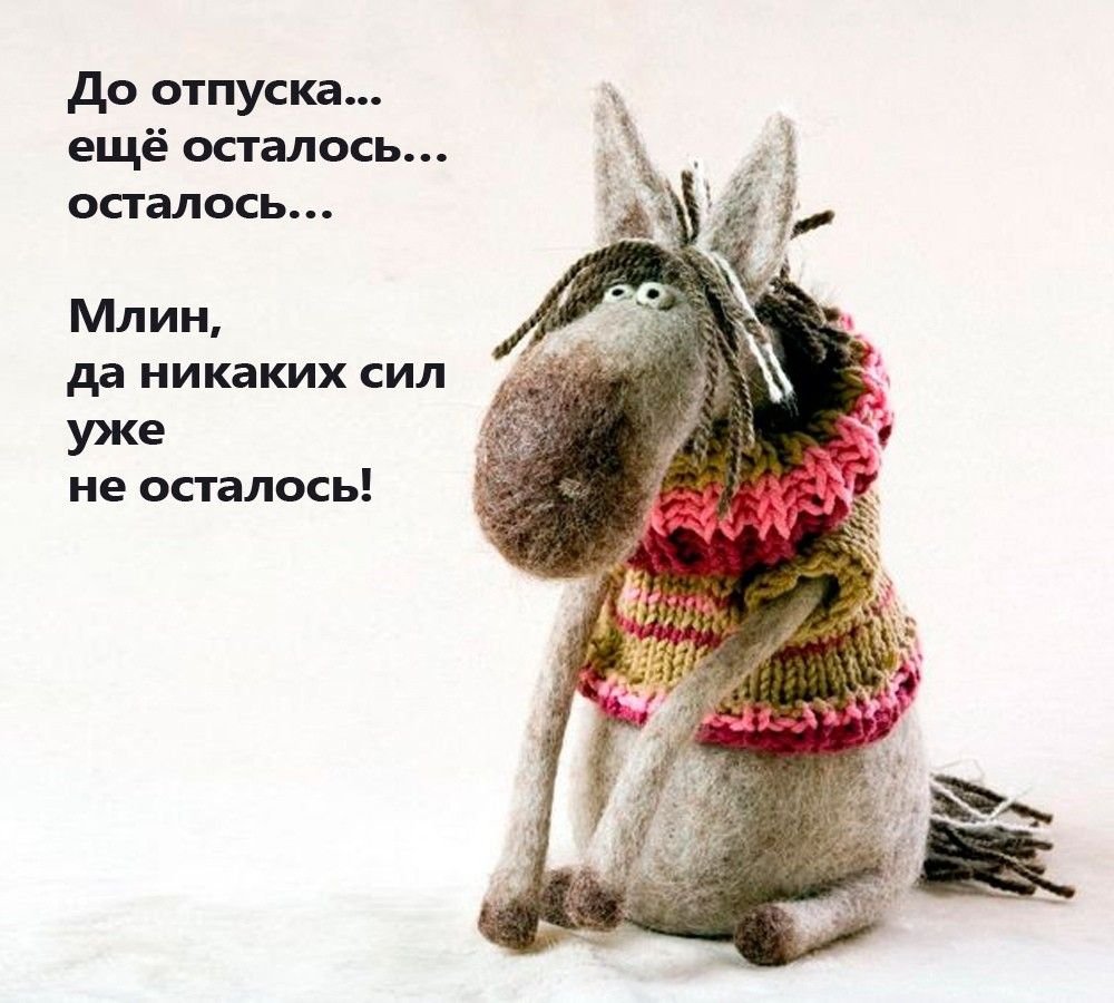 Мемы с котами и надписями