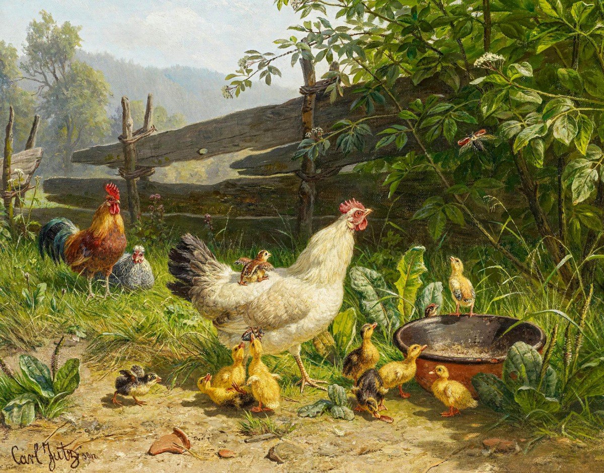 Птичий двор гуси