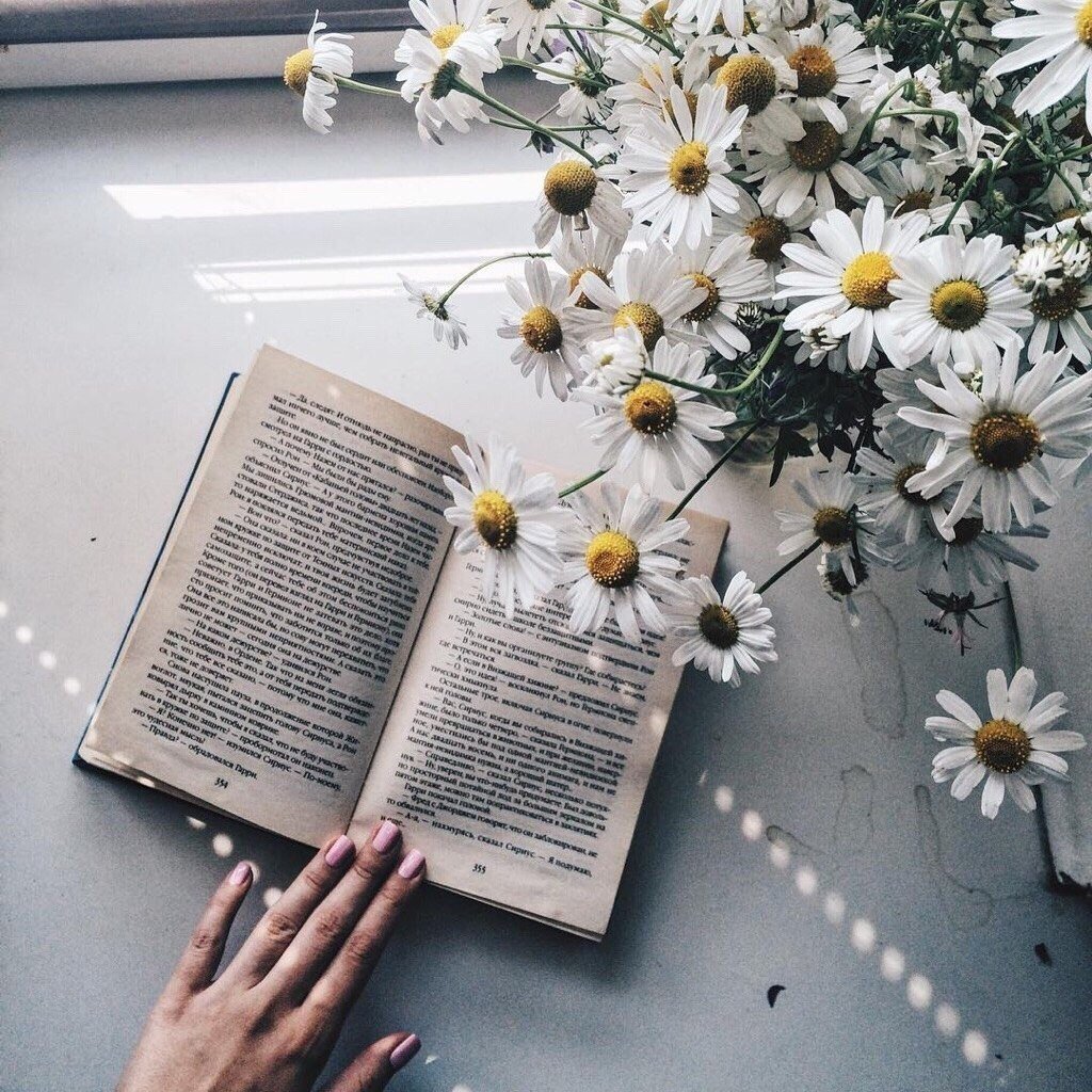 Эстетика книг и цветов