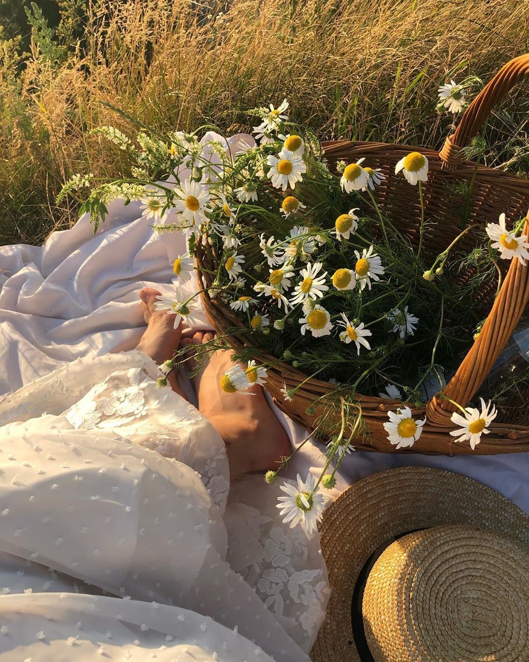 Эстетика лета