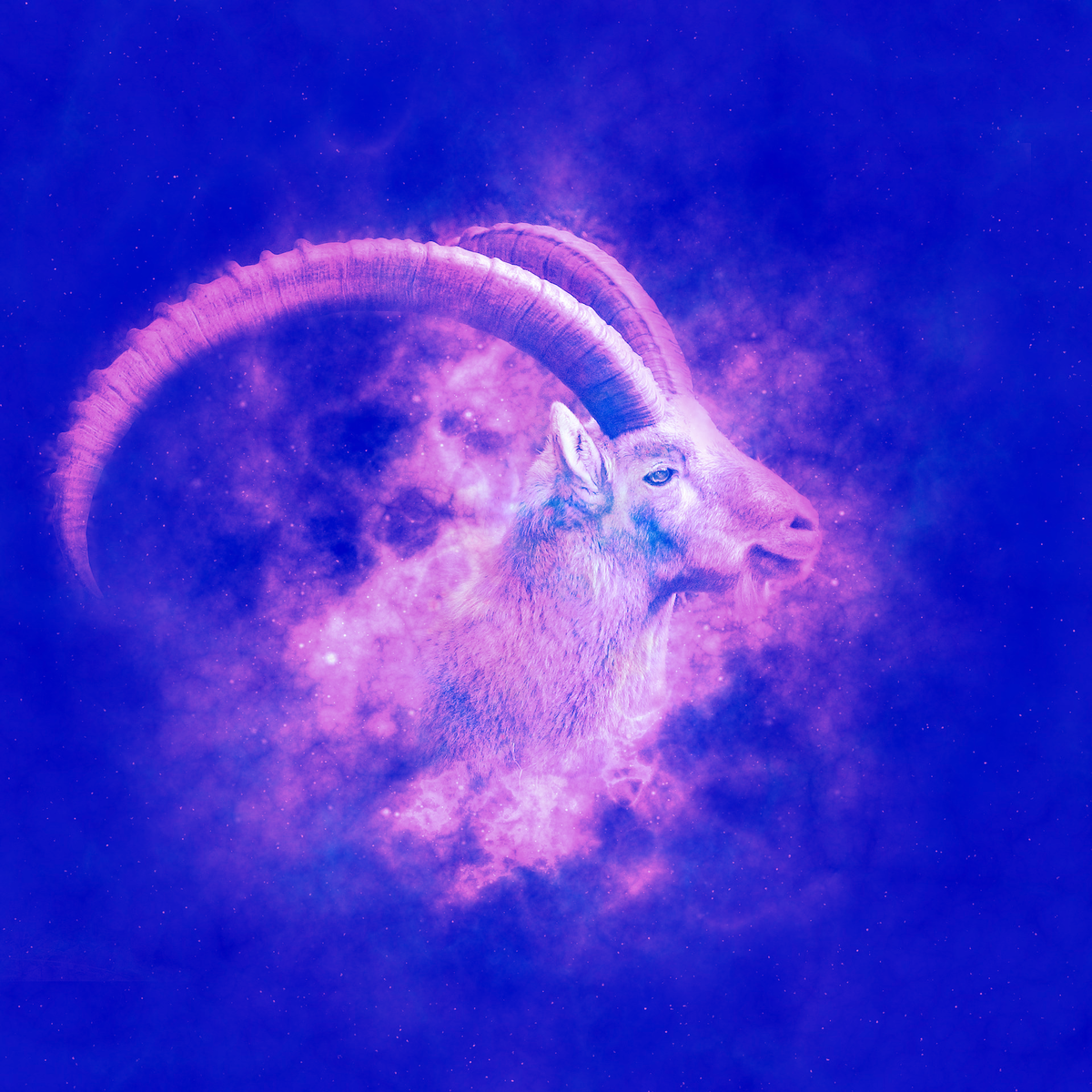 Ютака Кагая знаки зодиака