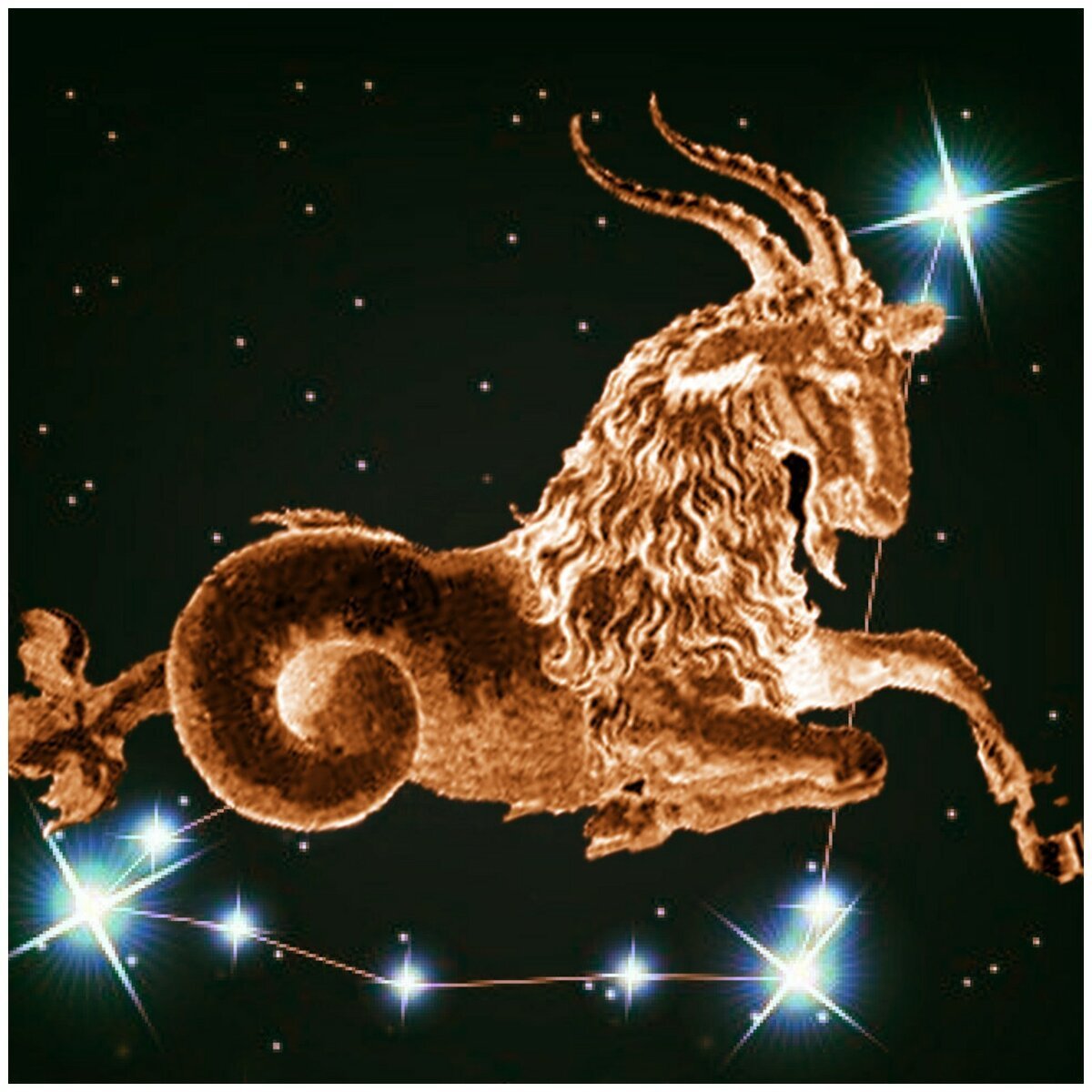 Capricorn (Козерог)
