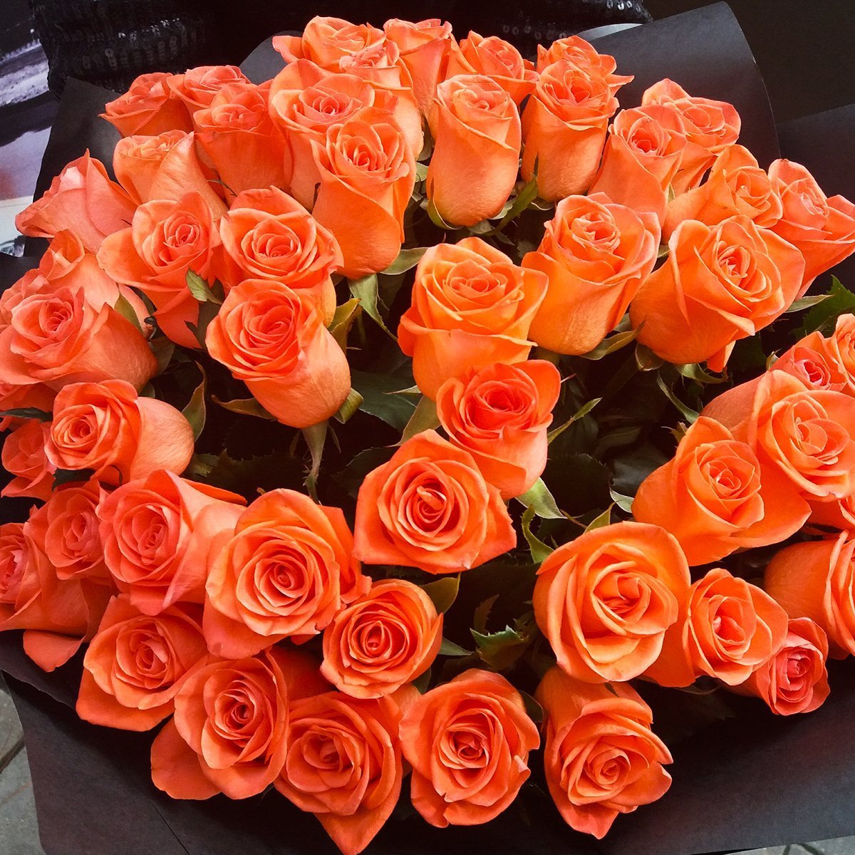 Роза оранж Пэшн