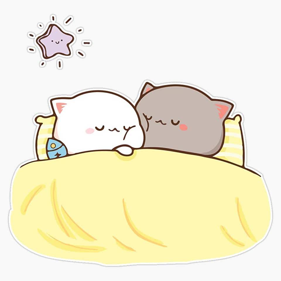 Кавайные котики любовь