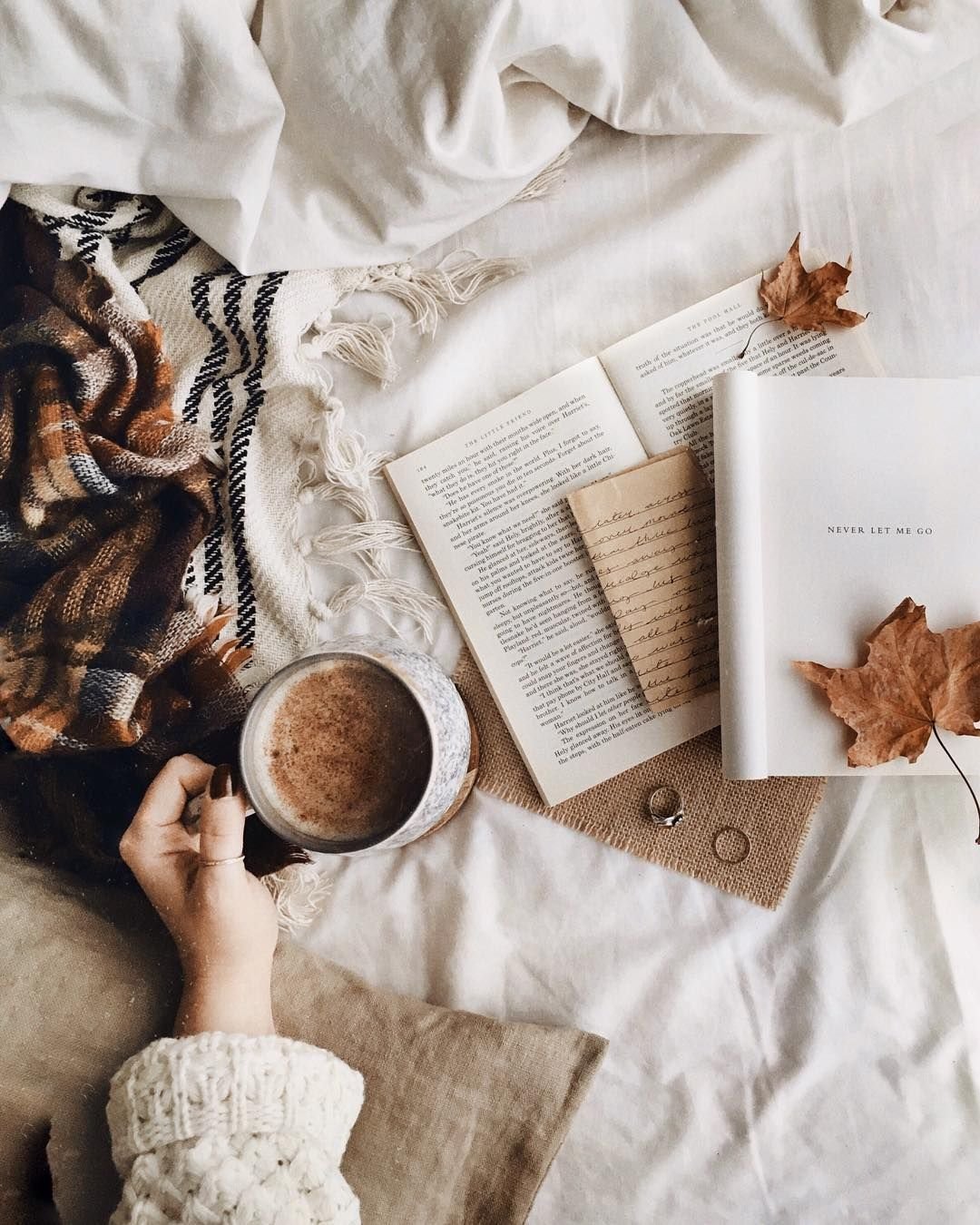 Рисунки в коричневых тонах