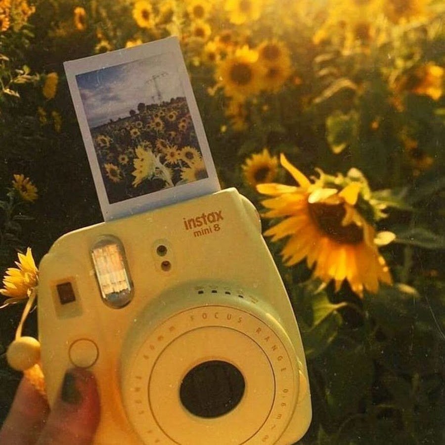 Желтый фотоаппарат Эстетика