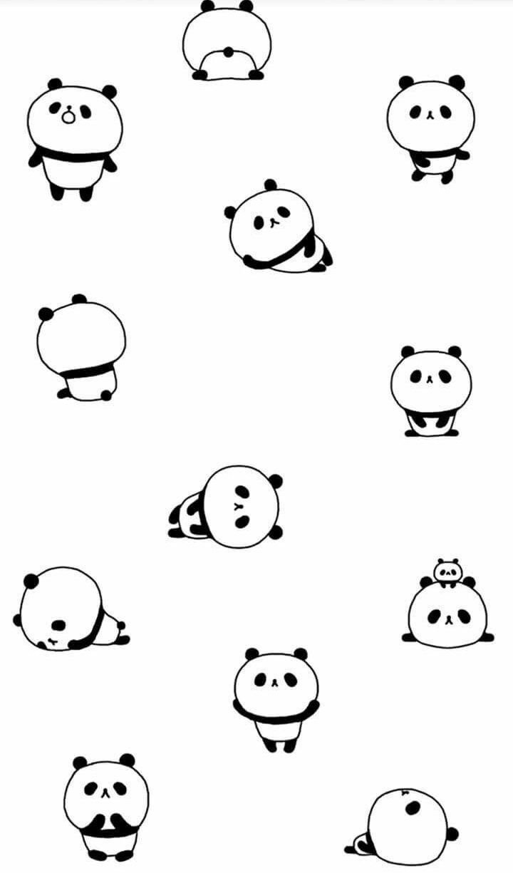 Милые котики