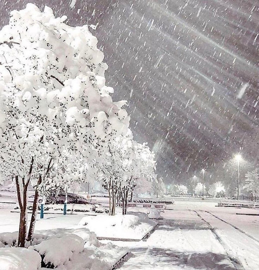 Красивый снегопад