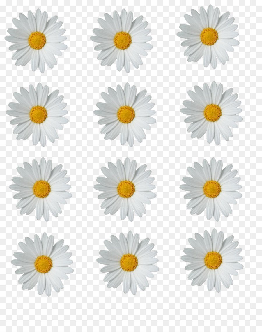 Ромашки раздаточный материал