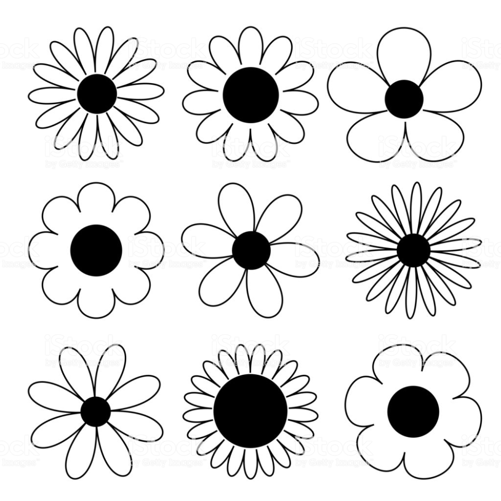 Две ромашки рисунок