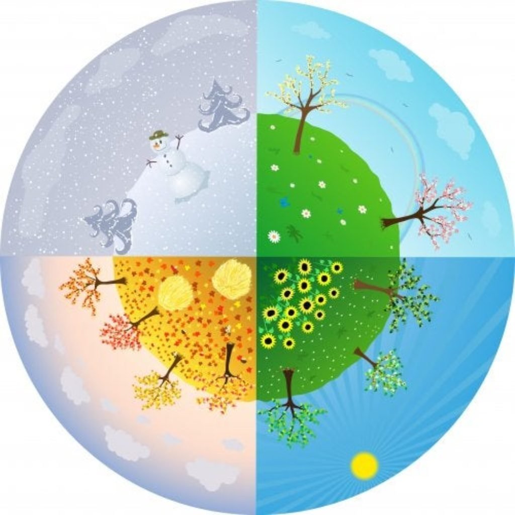 Времена года круг