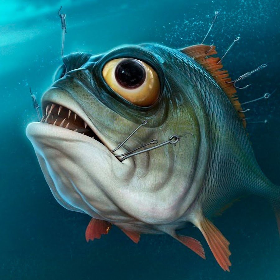 Прикольные рыбки