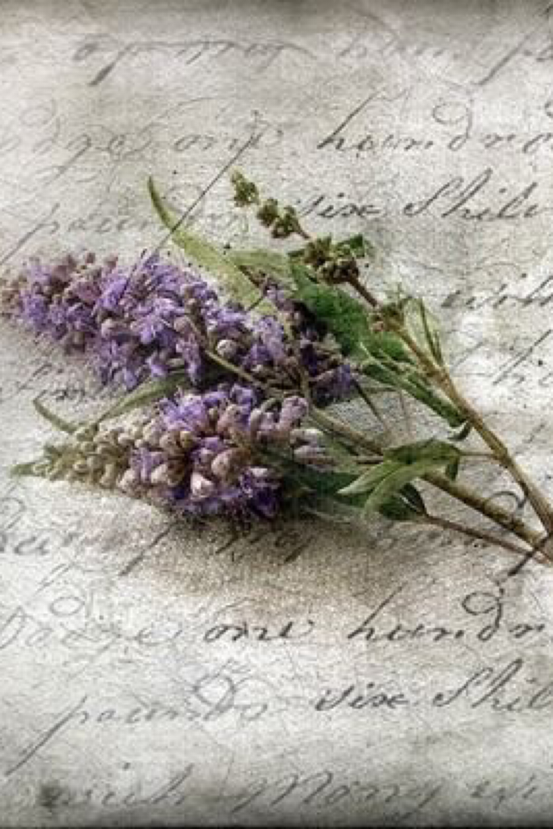 Лаванда для декупажа