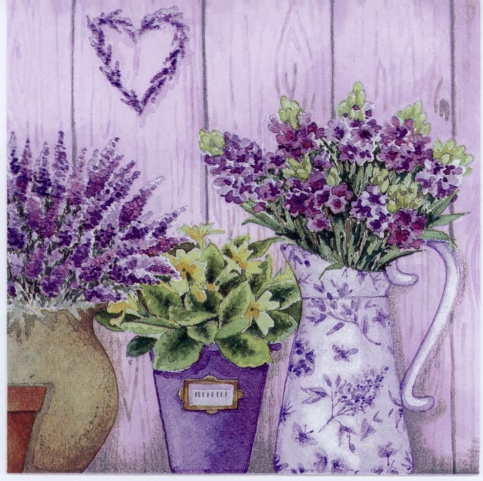 Прованские цветы