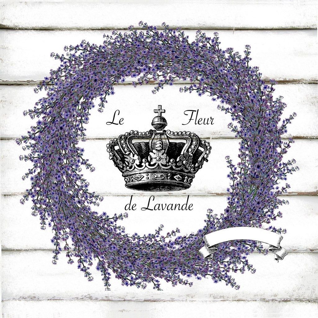 Лаванда иллюстрация