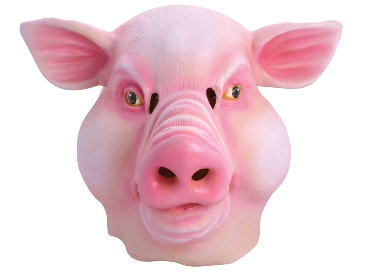 Голова свиньи Графика