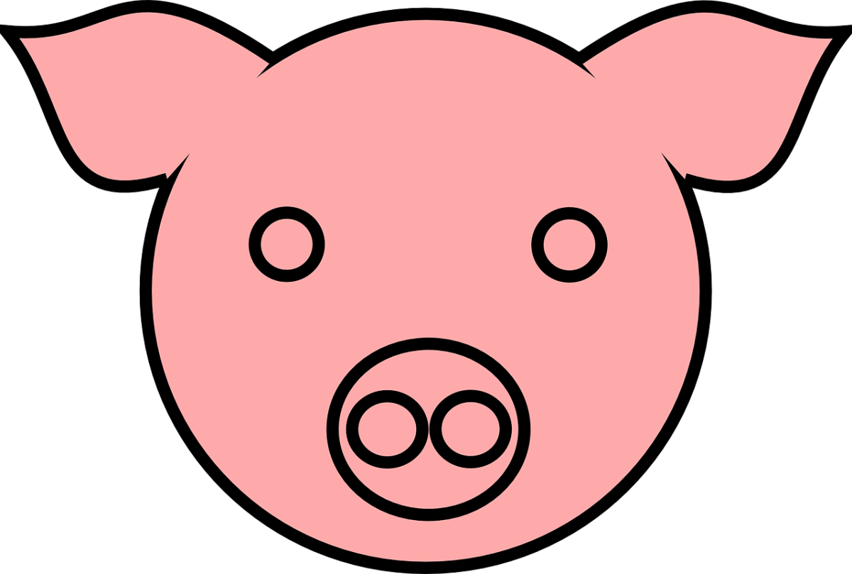 Морда поросенка