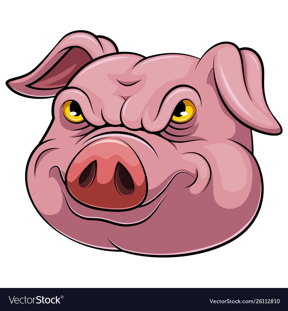 Блюда из свиной головы