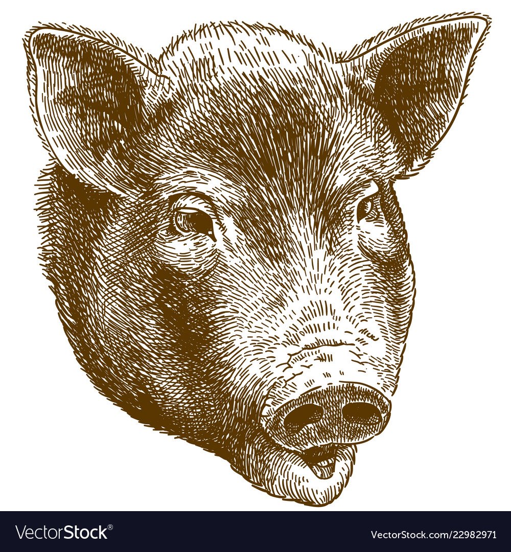 Маска хрюшки