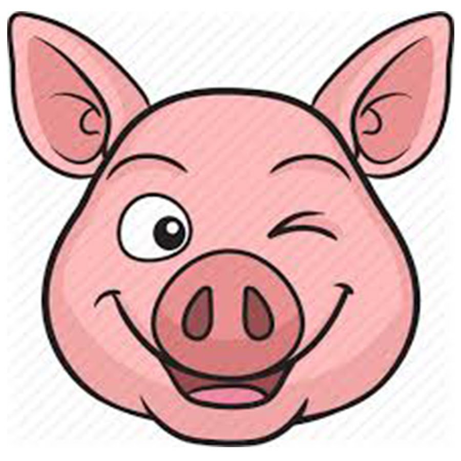 Лицо свиньи