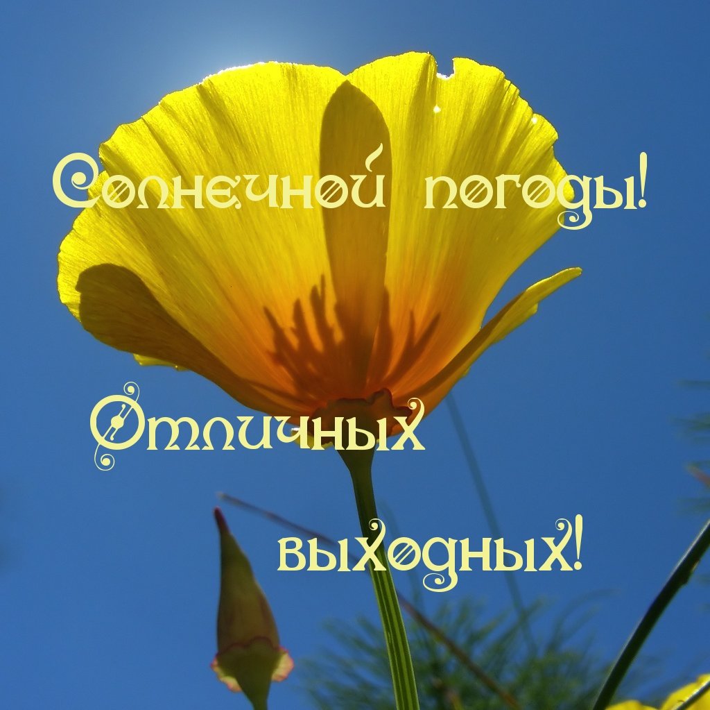 Солнечных выходных и отличного настроения