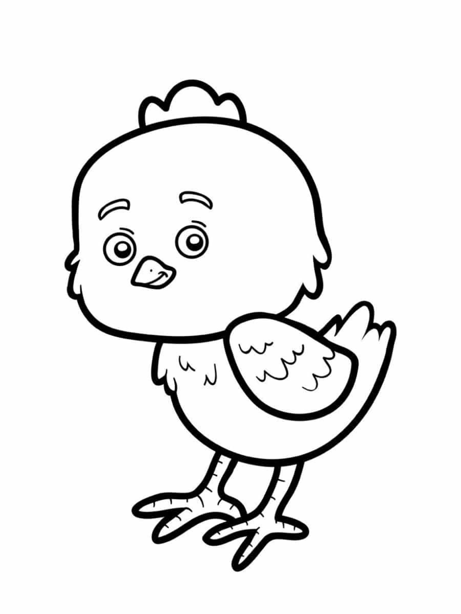 Цыпленок картинка для детей