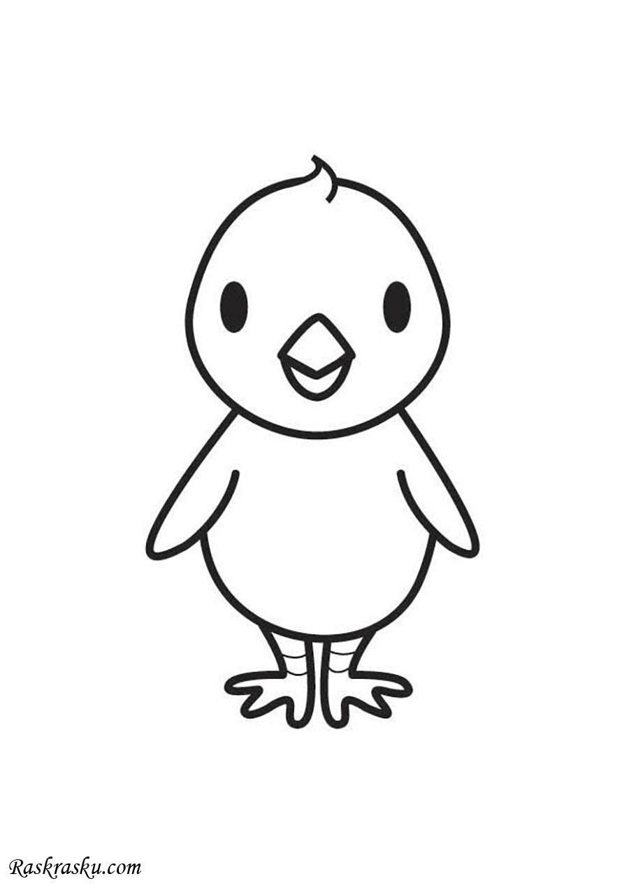 Пушистые цыплята раскраска
