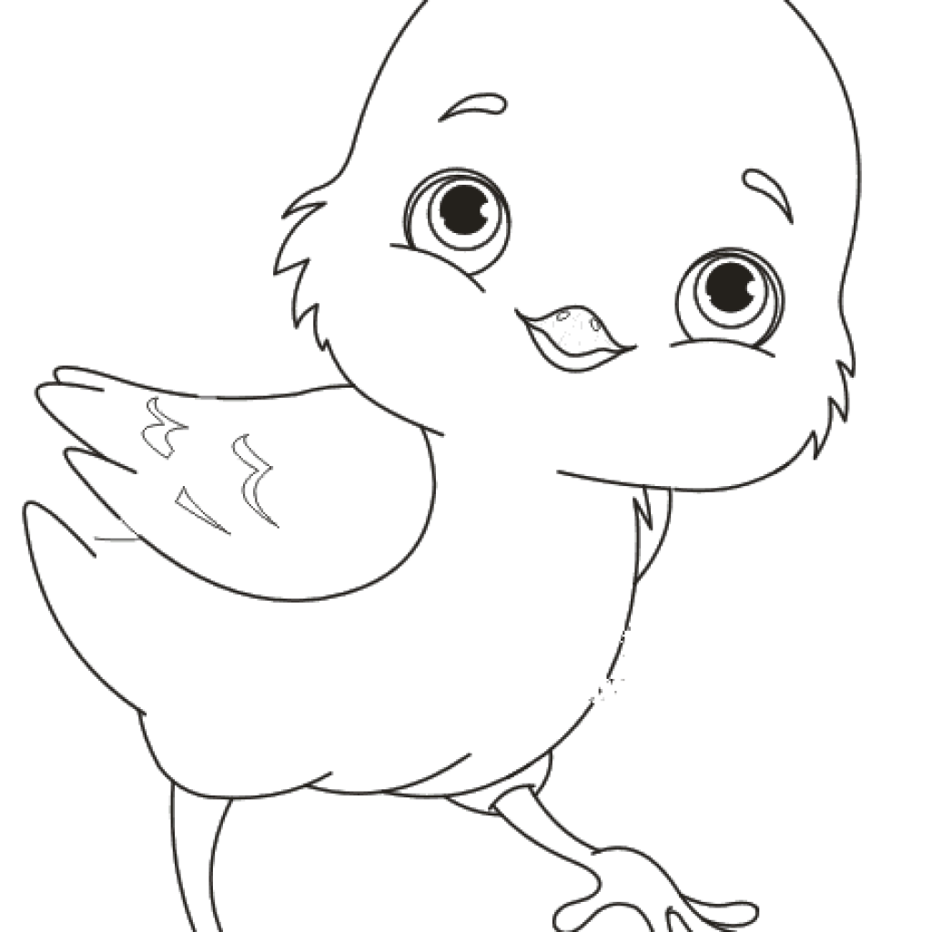 Цыпленок вектор