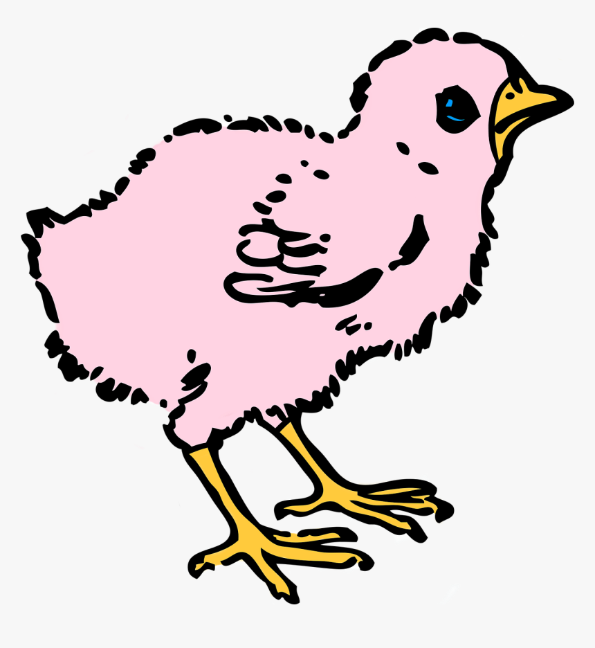 Цыпленок черно-белая мультяшный