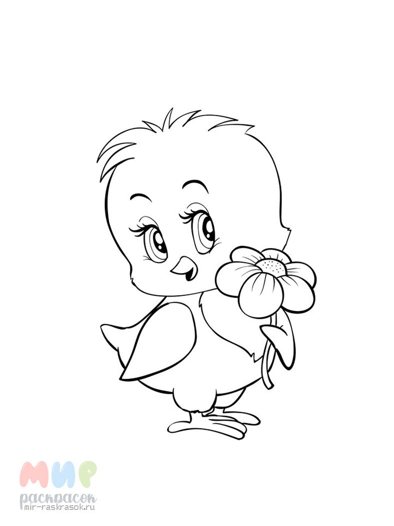 Цыпленок. Раскраски