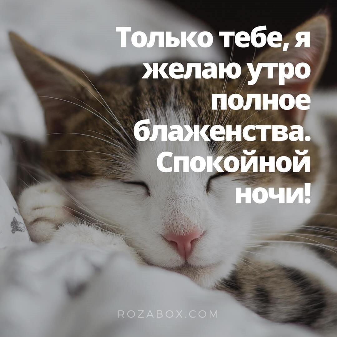 Патрик Патрикович