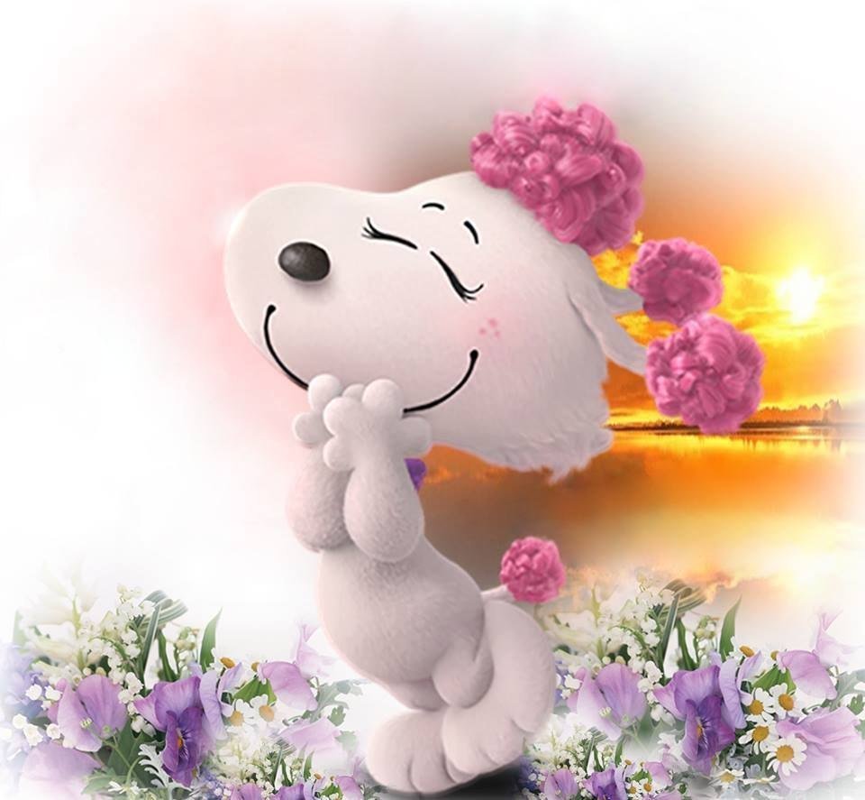 Открытки с добрым днём красивые необычные