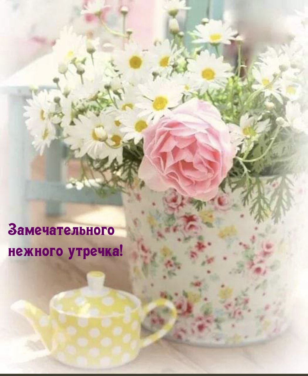 Нежные летние цветы