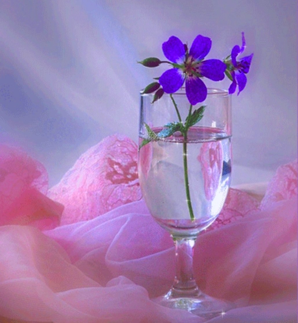 Утренние цветы