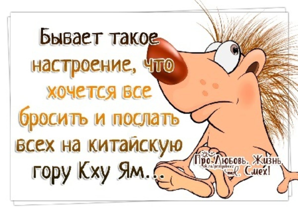 Прикольные открытки про женщин