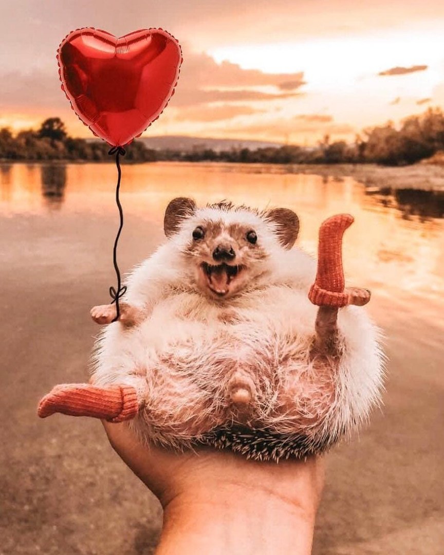 Креативные открытки с добрым утром