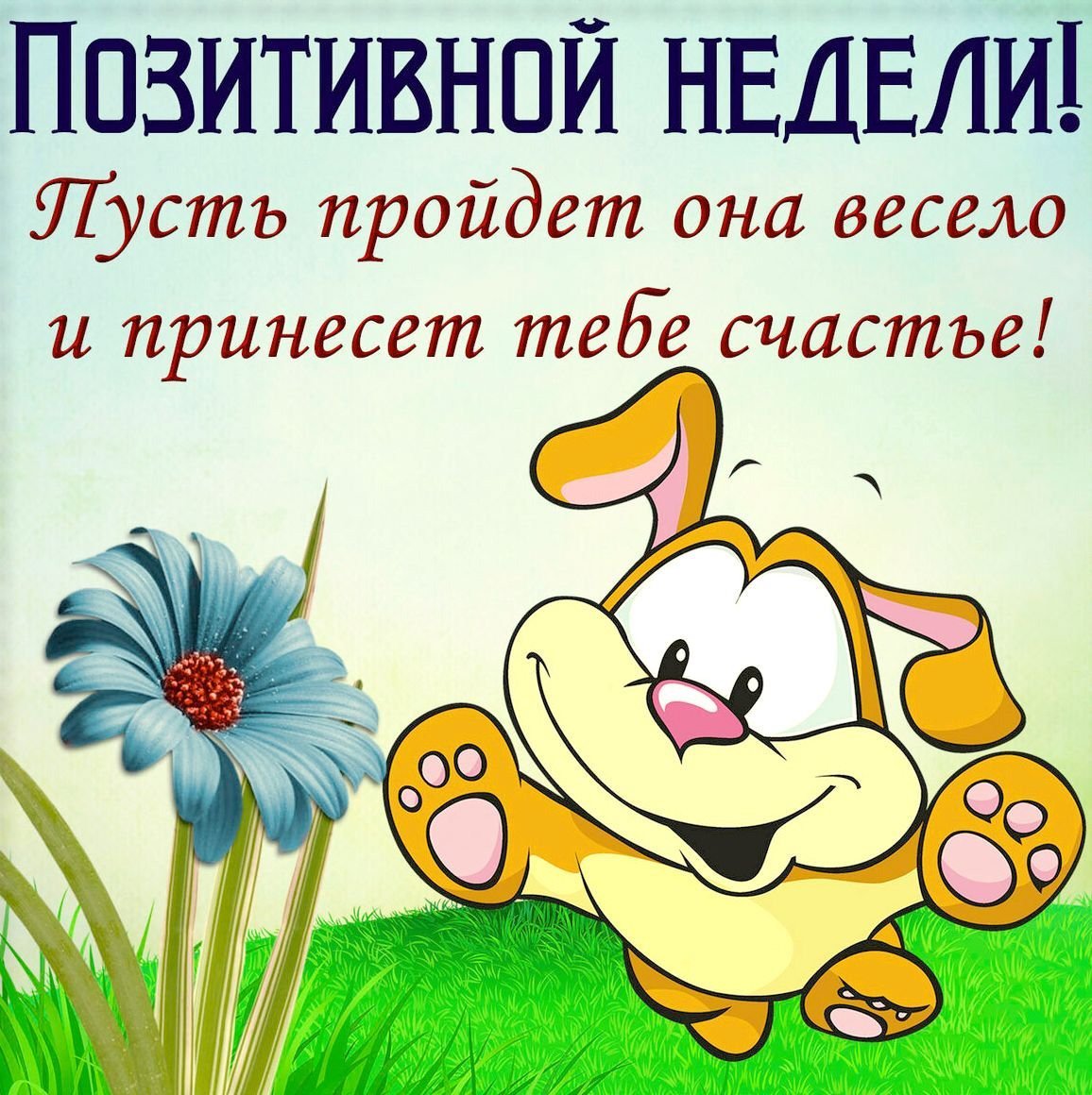 Смешные пожелания хорошего дня