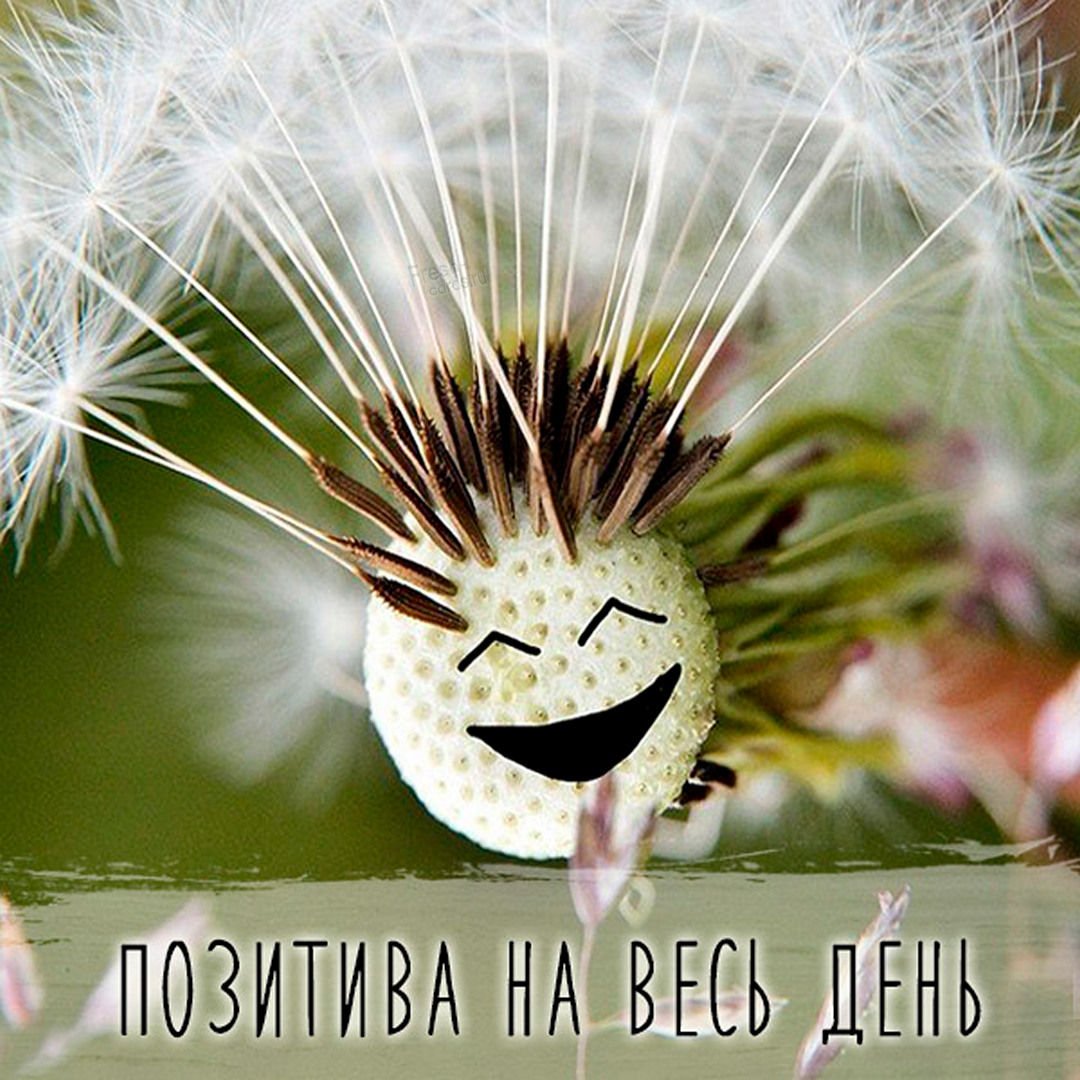 Мечты о лете